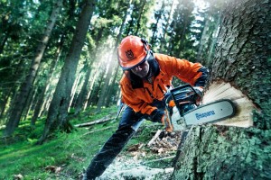 forststechnik waldwirschaft kettensäge motersäge